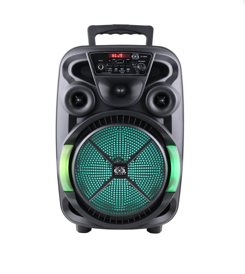 Bocina karaoke Amplificada 8” CE-B868